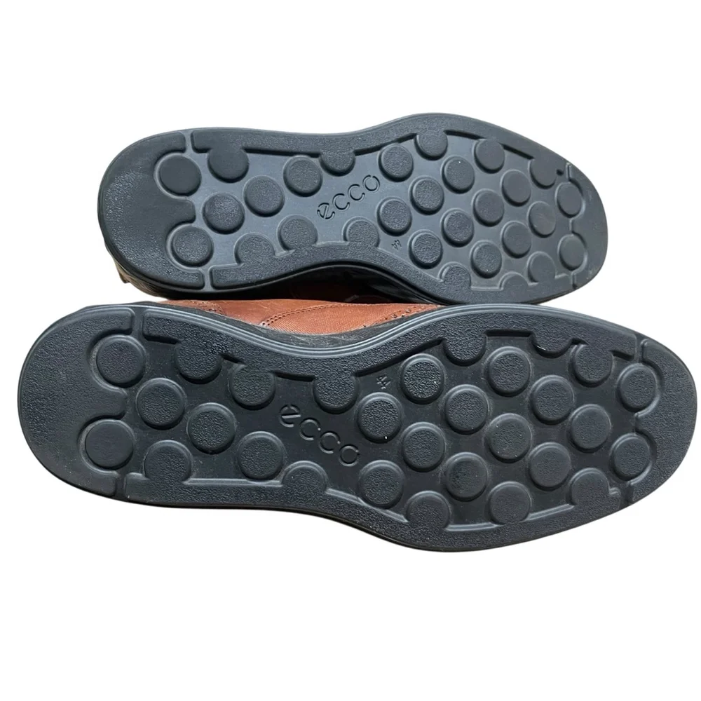 ECCO lite hybrid
